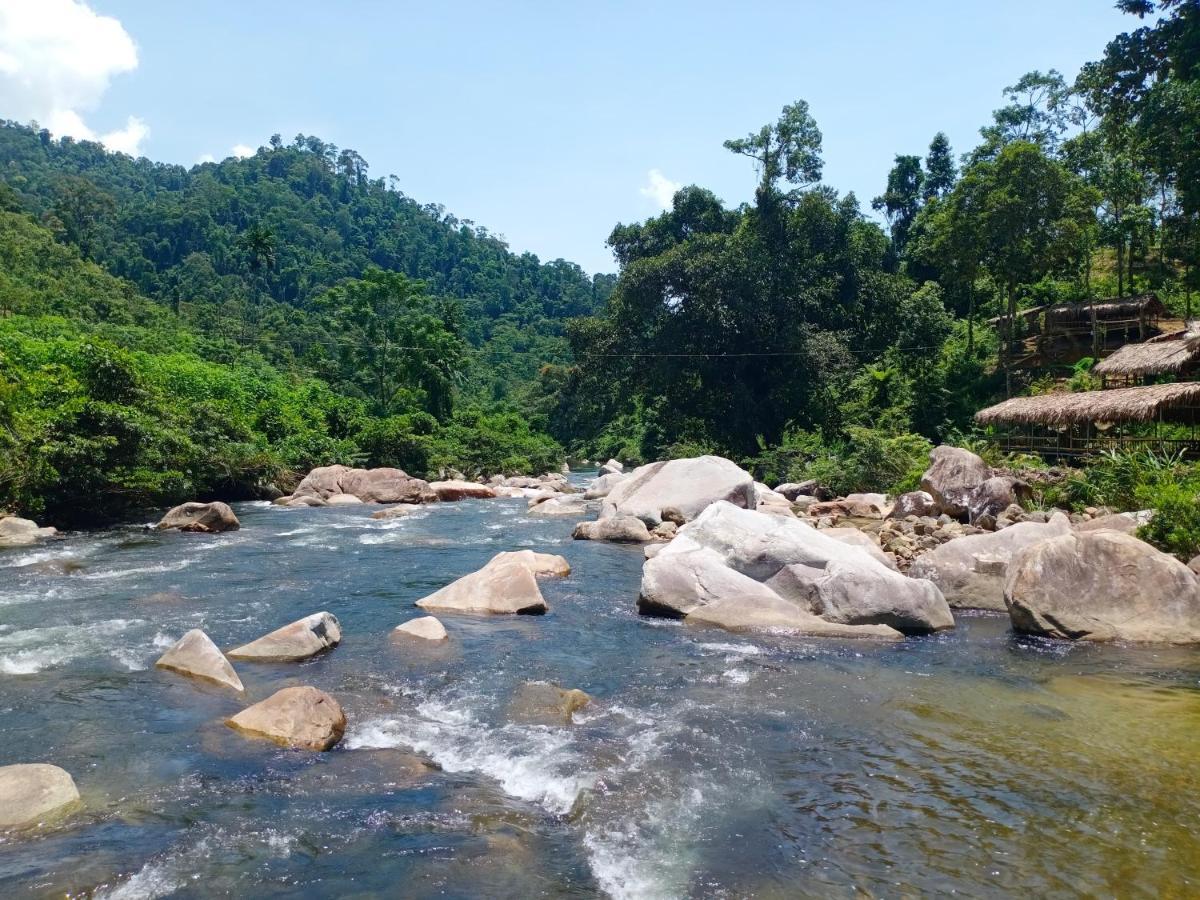 Gió Lào Eco Lodge - Đảo chè Thanh Chương Trai Do Esterno foto