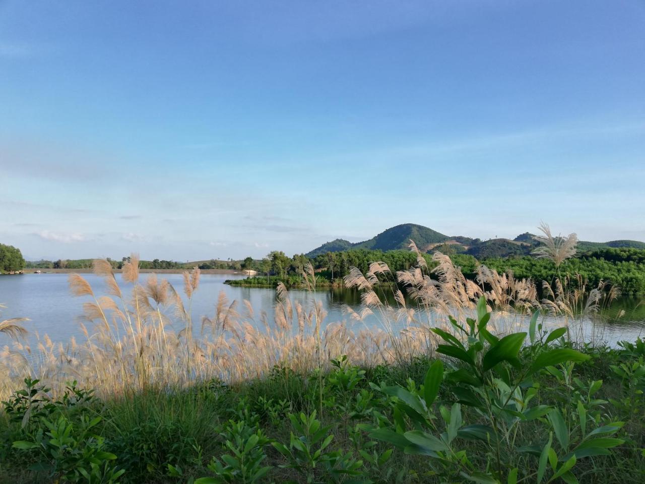 Gió Lào Eco Lodge - Đảo chè Thanh Chương Trai Do Esterno foto