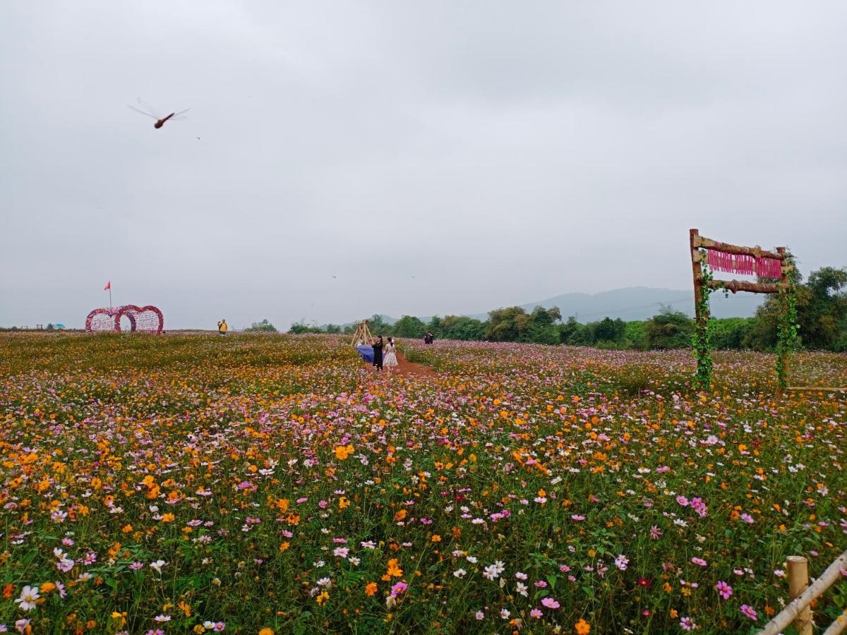 Gió Lào Eco Lodge - Đảo chè Thanh Chương Trai Do Esterno foto
